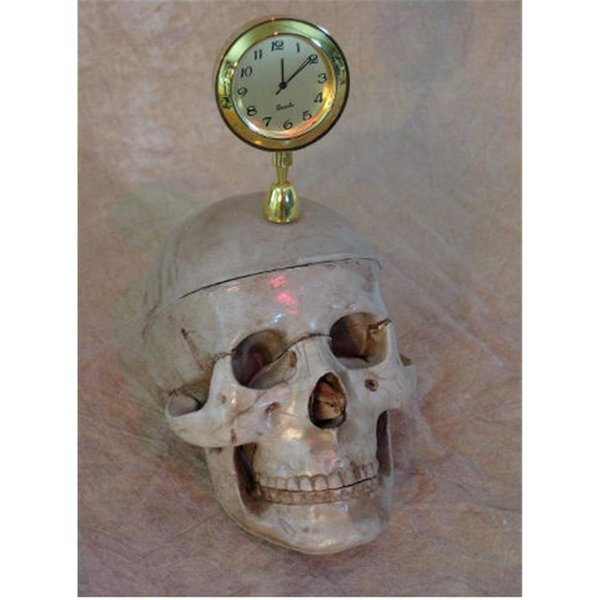 Perfectpretend Skull with Clock PE1413033